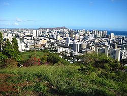 Honolulu From Punchbowl
