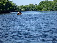 Little Manatee River kayaker