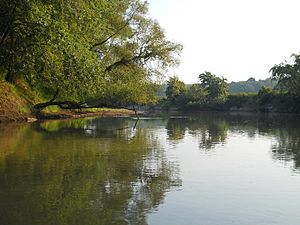 Obion River swimming hole