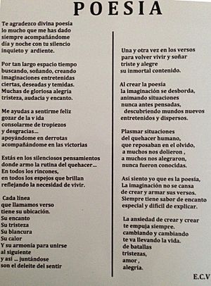Poesía a la Poesía de Eugenio Cruz Vargas