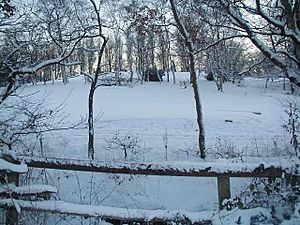 Snowy Sutton Park - Dec 28th 2000