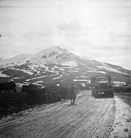 Somewhere in the Persian corridor. A United States Army truck convoy carrying supplies for the aid of Russia. An Iranian native moving his livestock from the mountain road as a United States truck passes