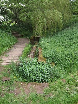 St Kenelm's Spring (Source of the River Stour) - geograph.org.uk - 806501