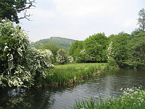View across the Montgomery Canal approaching Llanymynech - geograph.org.uk - 847700
