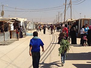 Zaatari refugee camp, Jordan (9660903303)