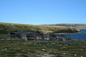 Some of the remaining buildings in 2008