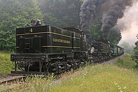 Cass Scenic Railroad State Park - Shay 4 and Shay 11