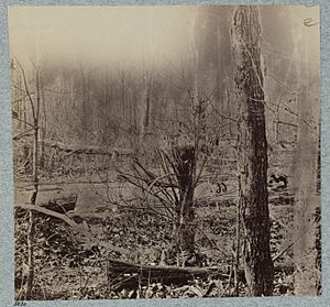 Scene of General Wadsworth's death. Tree in foreground was shattered by shell that killed his horse LCCN2012647736