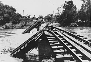 StateLibQld 1 99164 Flood damaged railway bridge over the Burdekin River, 1917