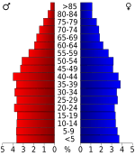 USA Bedford County, Tennessee.csv age pyramid