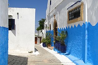 Whitewashed Street in Kasbah - Rabat - Morocco