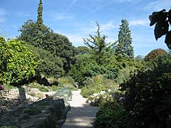 Jardin Alpin