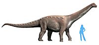 Mansourasaurus NT.jpg