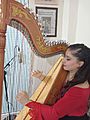 Paraguayan harp 1