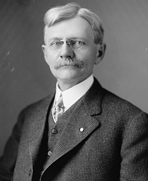 Head and shoulders of a sixtyish man, with a serious expression behind his pince-nez. He has a bushy mustache and his light-colored hair is parted near the top. He wears a three-piece suit, a high collared shirt, and a necktie.