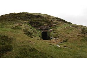 Vinquoy chambered tomb - geograph.org.uk - 190143