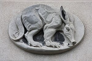 Aardvark by Phyllis Bone