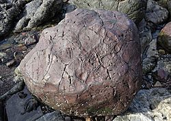 Basalt boulder, Balcreuchan Port, South Ayrshire