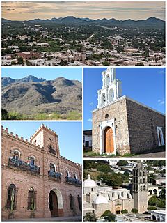 Top, from left to right: Panoramic view of Álamos, Chapel of Zapopan, Semi-arid municipality landscape, City Hall, Cathedral of Purísima Concepción