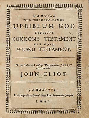Houghton AC6 Eℓ452 663m - John Eliot, 1663, title
