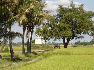 Pullalur obelisks situated amidst paddy fields and coconut grove