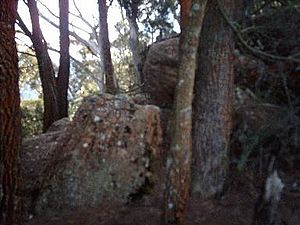 Boulders on Summit Track