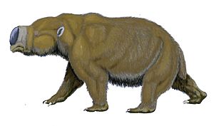 Diprotodon11122