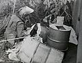 Home-made explosives packed in oil drums being dealt with by EOD Operator. MOD 45159058