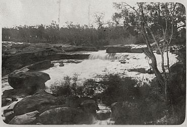 Hovea, Western Australia, ca. 1926.jpg