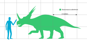 Styracosaurus Scale