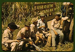 Sugar cane workers resting 1a34016v