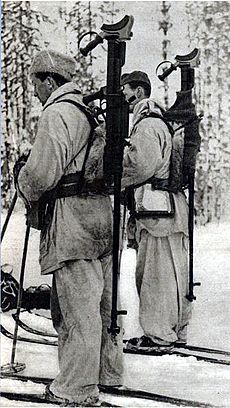 Swedish Winter War volunteers