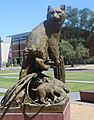 Wildcat Family Statue, University of Arizona