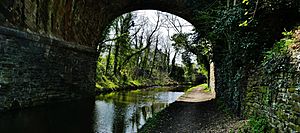 Woodley - canal bridge near Hyde Road