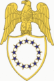 Aide-de-camp insignia for VP aide