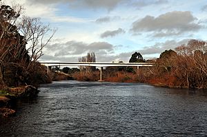 Hadspen bridge tasmania 2012