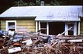 Home destroyed by 1980 St Helens eruption1