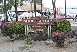 Kahaluu Beach Park
