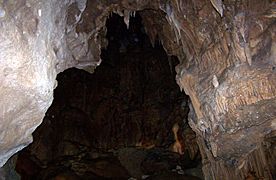 Lake Shasta Caverns 2