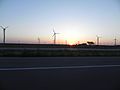 Roscoe Wind Farm at Sunrise