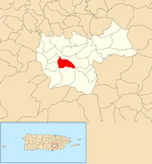 Location of Sumido within the municipality of Cayey shown in red