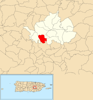 Location of Toíta within the municipality of Cidra shown in red