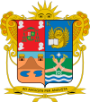 Official seal of Irapuato
