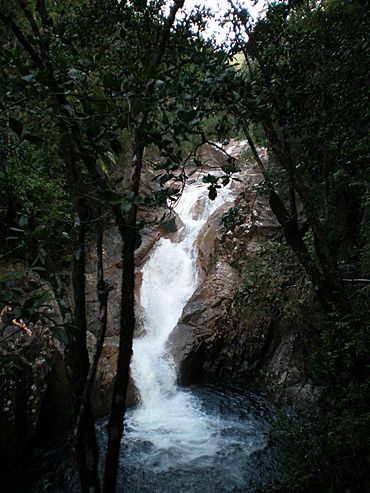 Eungella Falls.JPG