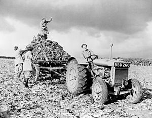 Fordson tractor with members of British Women's Land Army 1940s