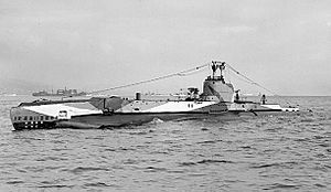 HMS Sealion