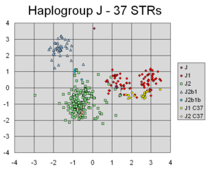 PCA of Haplogroup J using 37 STRs