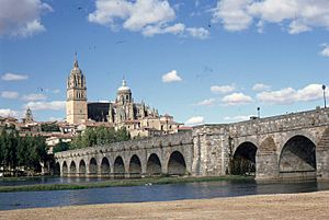 Pont romain et cathédrales vieille et nouvelle de Salamanque (1967-08-07).jpg