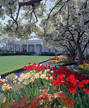 Rosengarten des Weißen Hauses