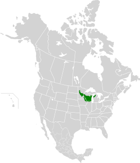 Upper Midwest Forest-Savanna Transition Zone map.svg